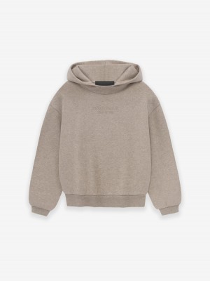 Fear Of God Essentials Hoodie Core Heather | FOG-SN593811