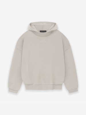 Fear Of God Essentials Hoodie Silver Cloud | FOG-SN593567